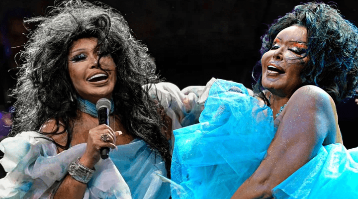 Bülent Ersoy servet