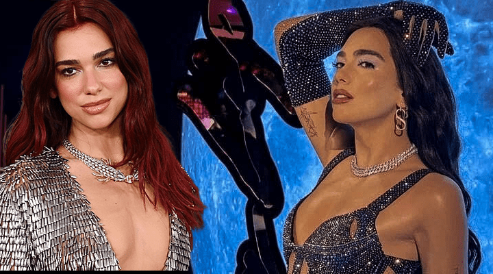 Dua Lipa konserine damga vuran Türk