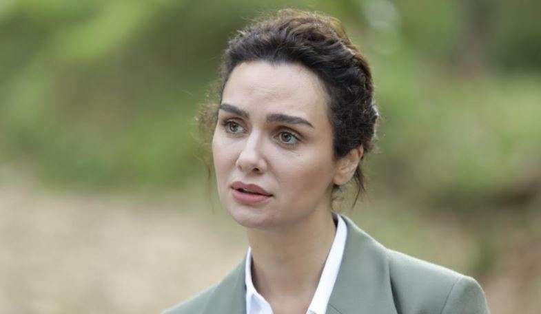 birce akalay estetik açıklaması